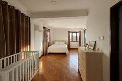 Jalan Tani (D19), Terrace #483269331